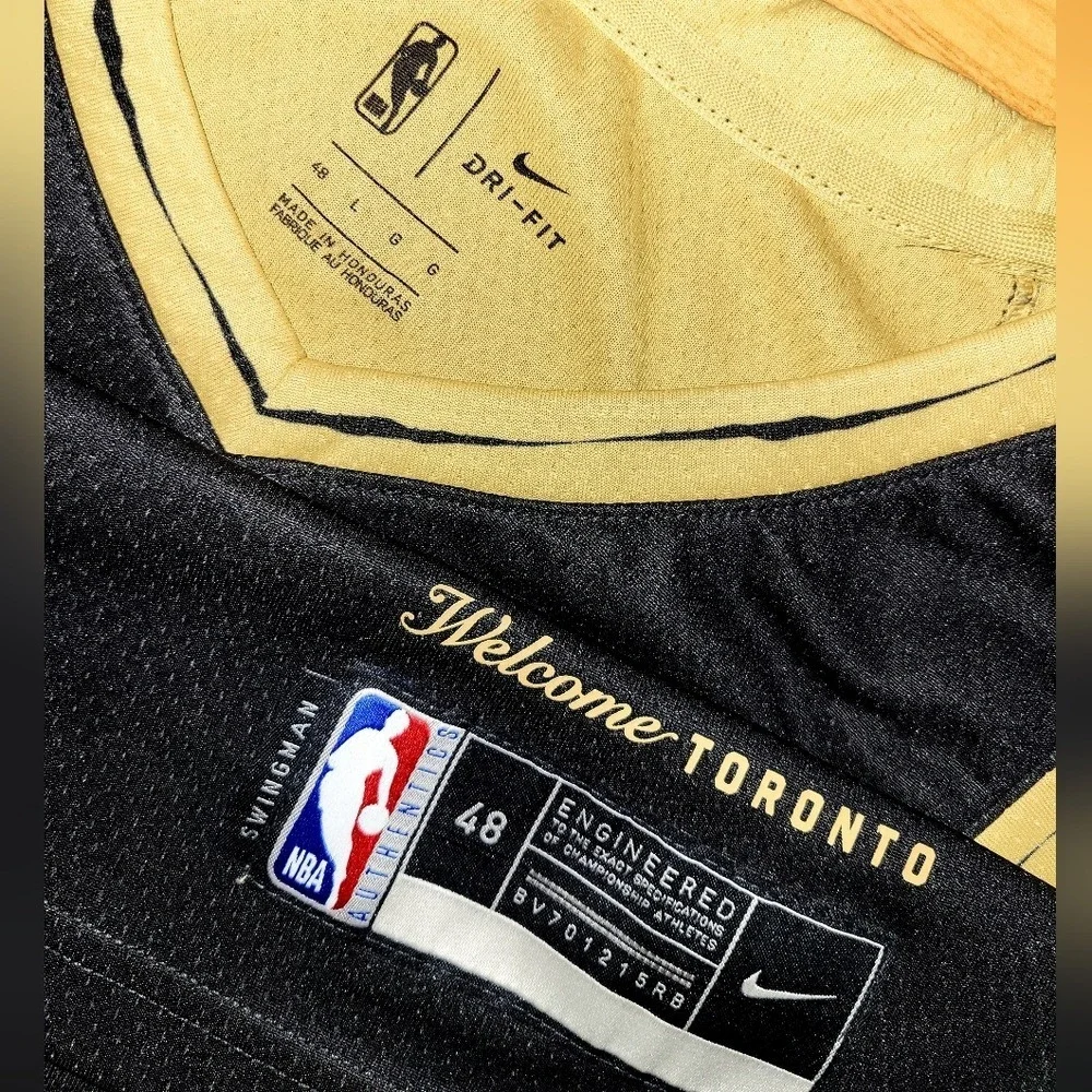 Nike Toronto Raptors Pascal Siakam City Edition Swingman Jersey Men's Large - Picture 3 of 5